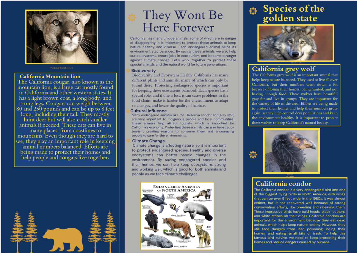 brochure inside 